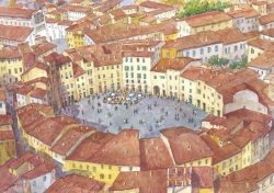 10 Lucca - La bella Piazza Anfiteatro