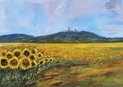 20 S. Gimignano - Città sul colle incorniciata dai girasoli