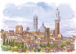24 Siena - Panorama, il Duomo e la Torre del Mangia