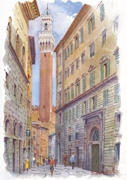 25 Siena - La Torre del Mangia da via Pantaneto