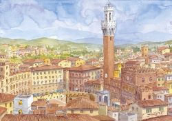 28 Siena - Piazza del Campo e Torre del Mangia