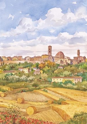 06 Volterra - Panorama dai campi di grano