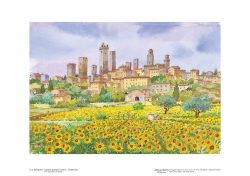 Poster 03 S. Gimignano: I girasoli guardano il sole e... le belle torri